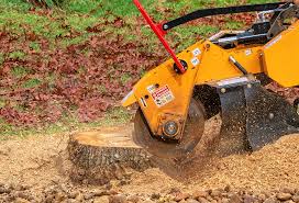 Best Firewood Processing and Delivery  in Fayetteville, NY